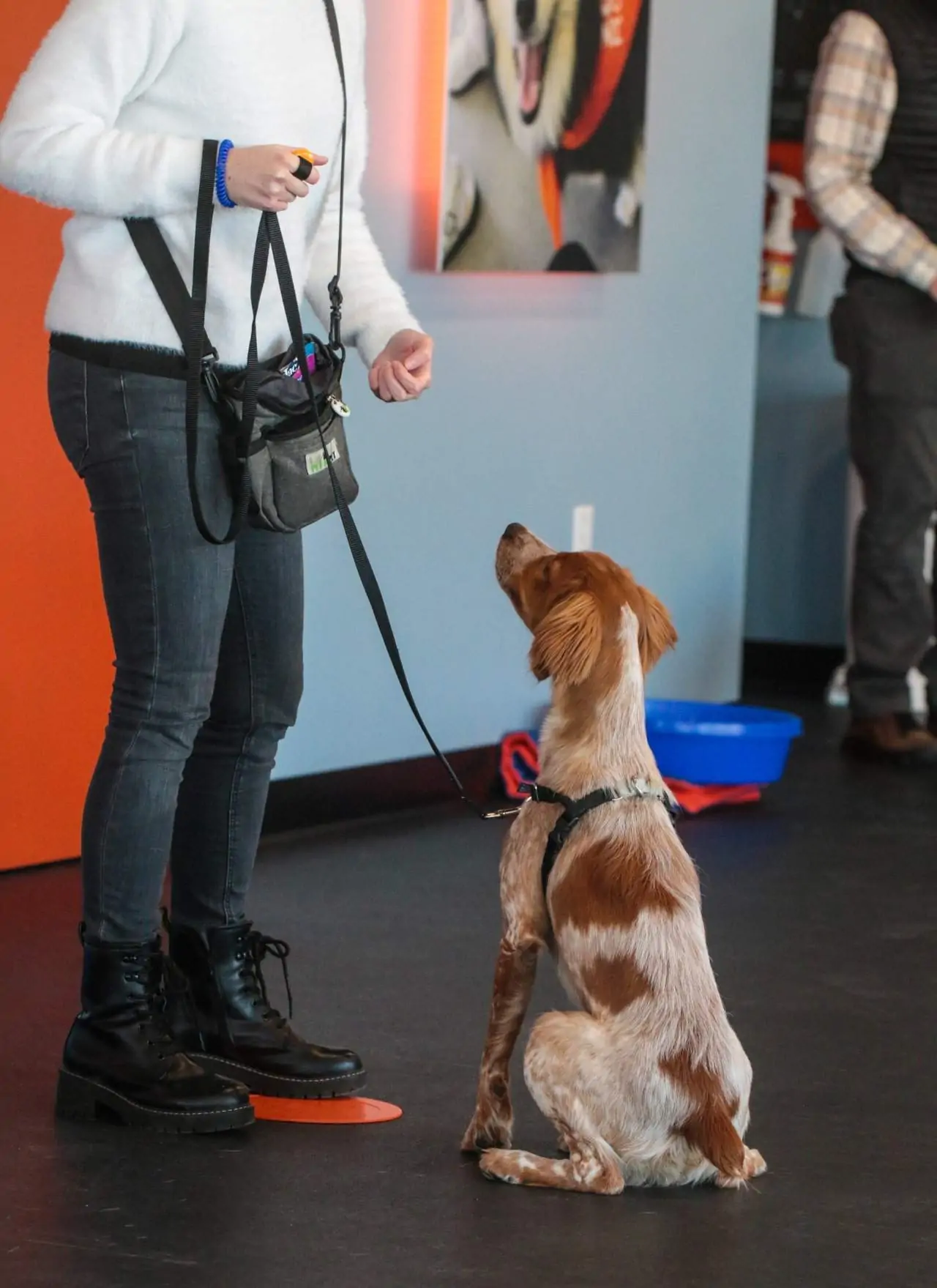 Puppy training class at Zoom Room in Crestwood, Missouri.